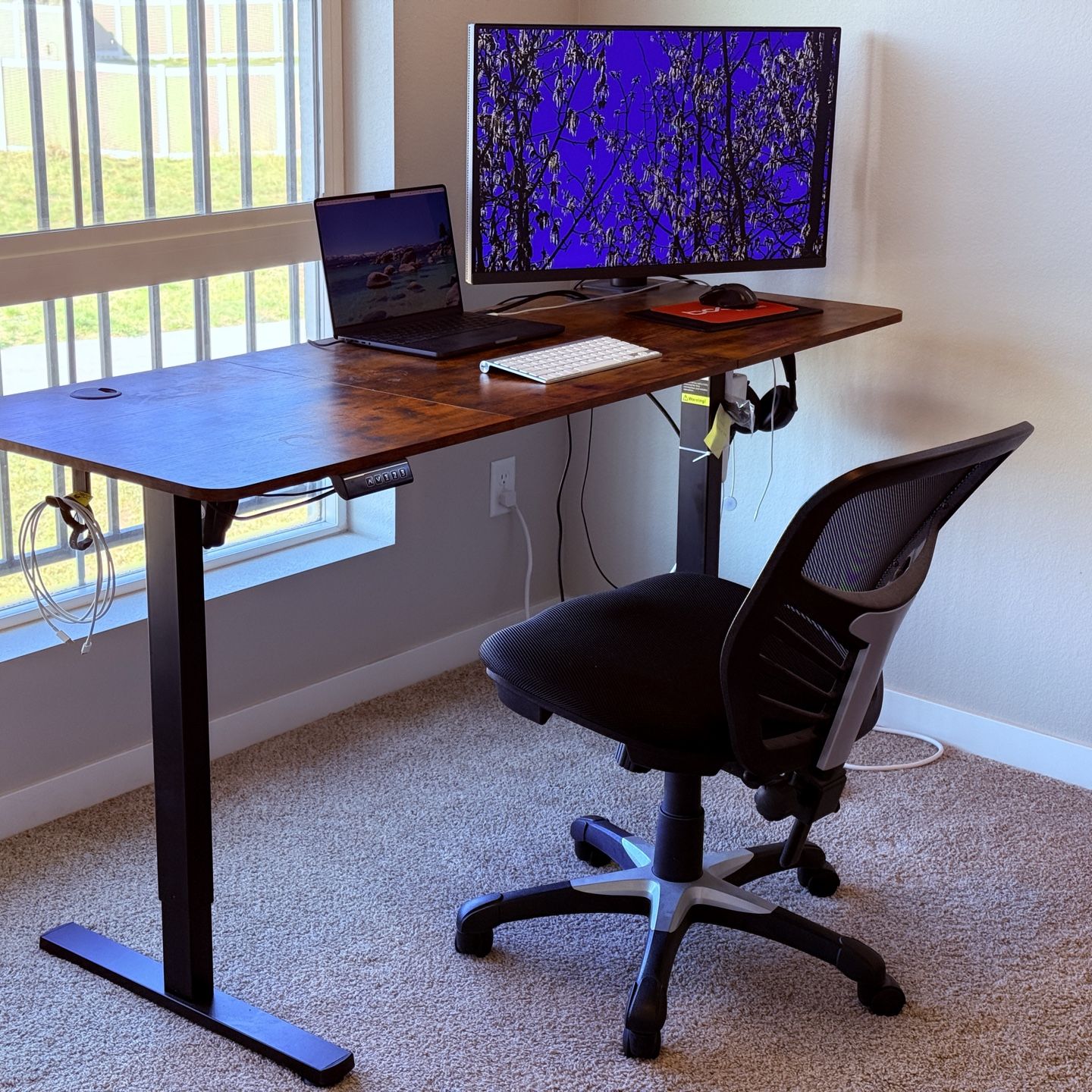 4K UHD Monitor and Electric Adjustable Desk for Sale in Cheyenne, WY ...