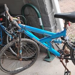 2 Bikes Roadmaster Sport & Dynacraft Need Work Good Bones lol
