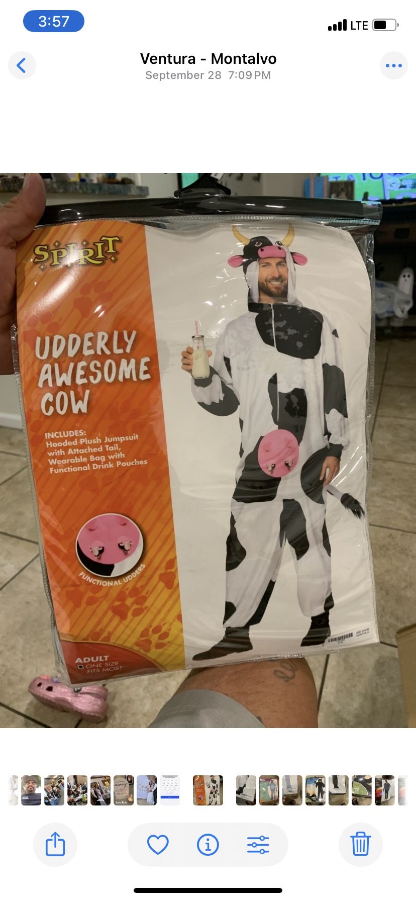 Cow Halloween Costume 