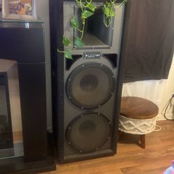 2  Pro Studio  4 feet speakers 
