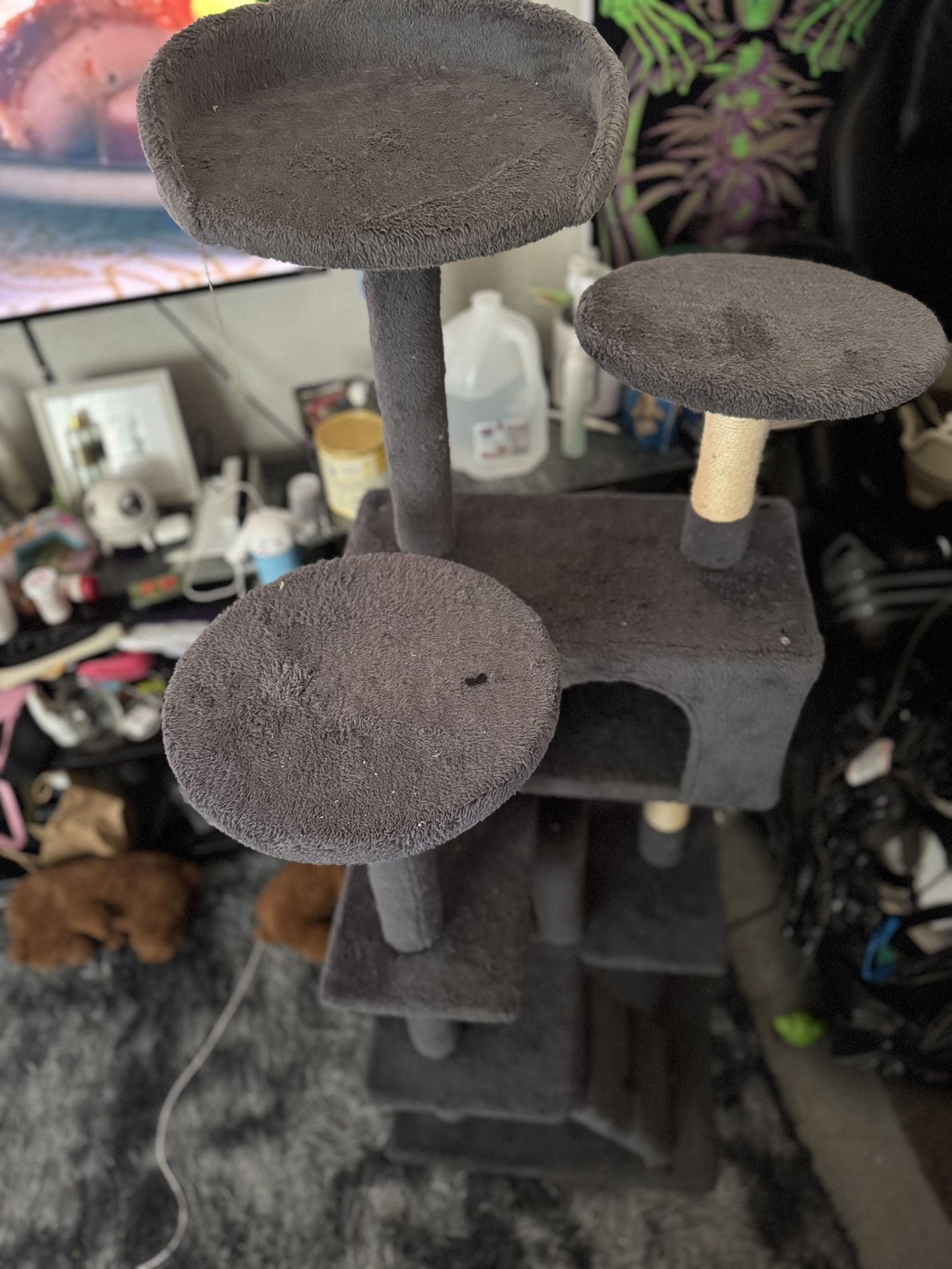 Cat Tree