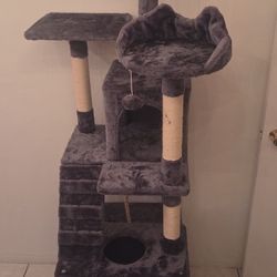 Cat House