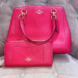 Medium Coach Bag with matching wallet 