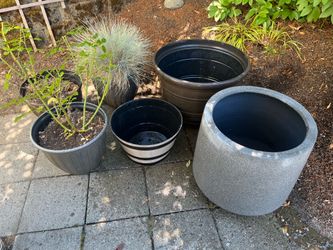 Moving Sale – 5 Plant Pots/Planters, Must Take All - From Costco