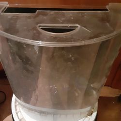 2 Gallon Aquarium Fish Tank Setup 