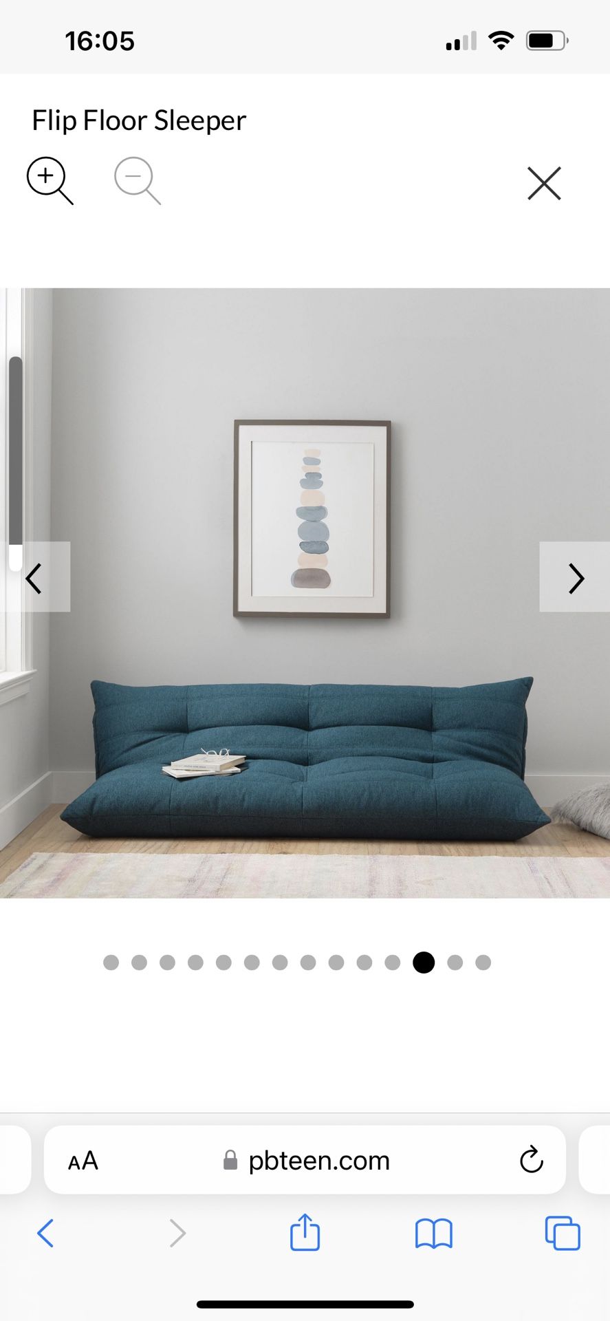 Pottery Barn Teens Sleeper Floor Sofa