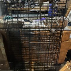 Large Black Wire Dog Crate.