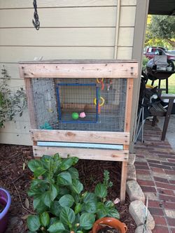 Animal cage