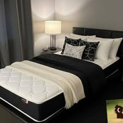 Cama Twin Con Tunder 