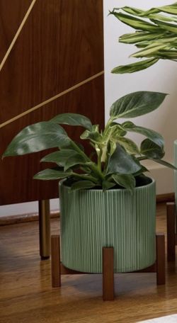 Green Ceramic Planter  with Bamboo Stand