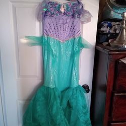 Disney Prinses Ariel Custom