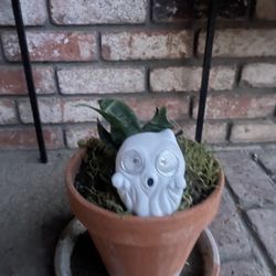 Snake Plant With Ceramic Solar Light Ghost 