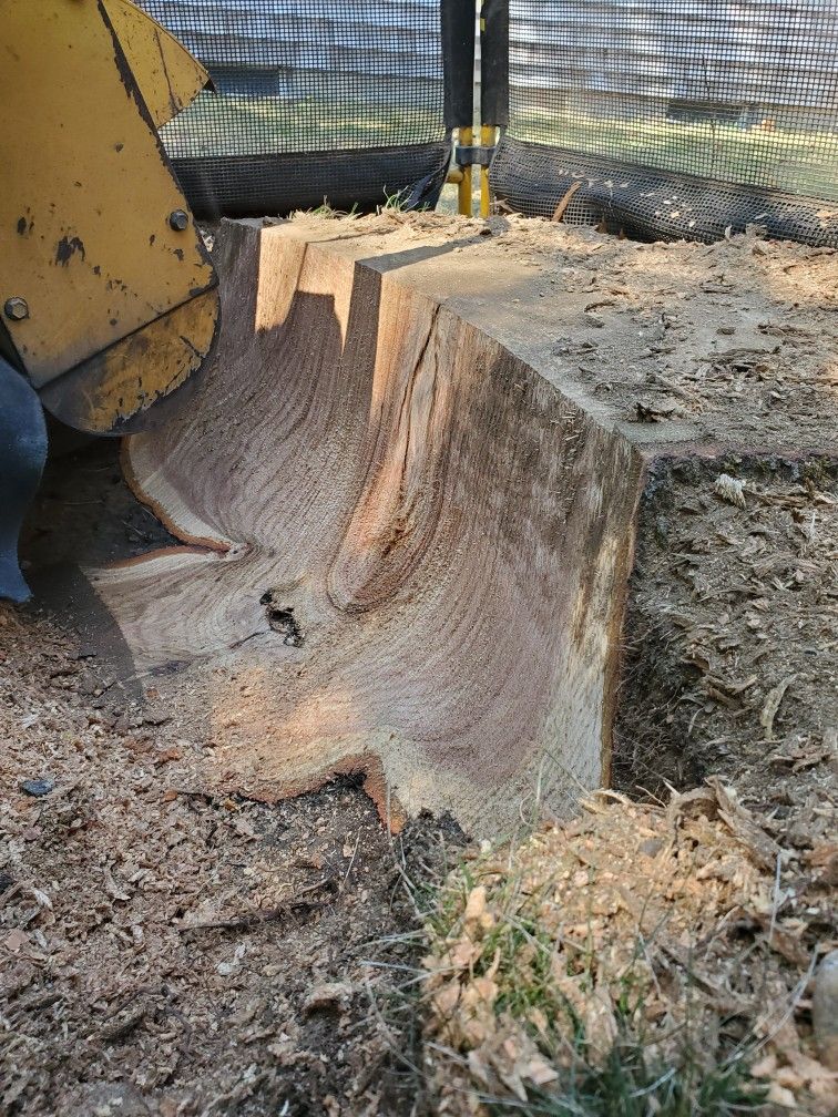 Stump Grinding
