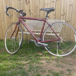 Aluminum CANNONDALE R300