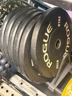 25lb rogue bumper plates