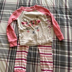 2T PJS