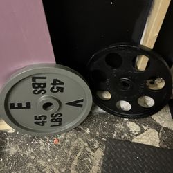 45 Lb Weights 