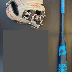 Used  Wilson A2000 Glove and Used Demarini Voodoo One Bat