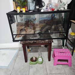 Lizard Enclosure  40/50 Gallon 