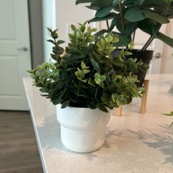 Fake IKEA Plant 🌱 
