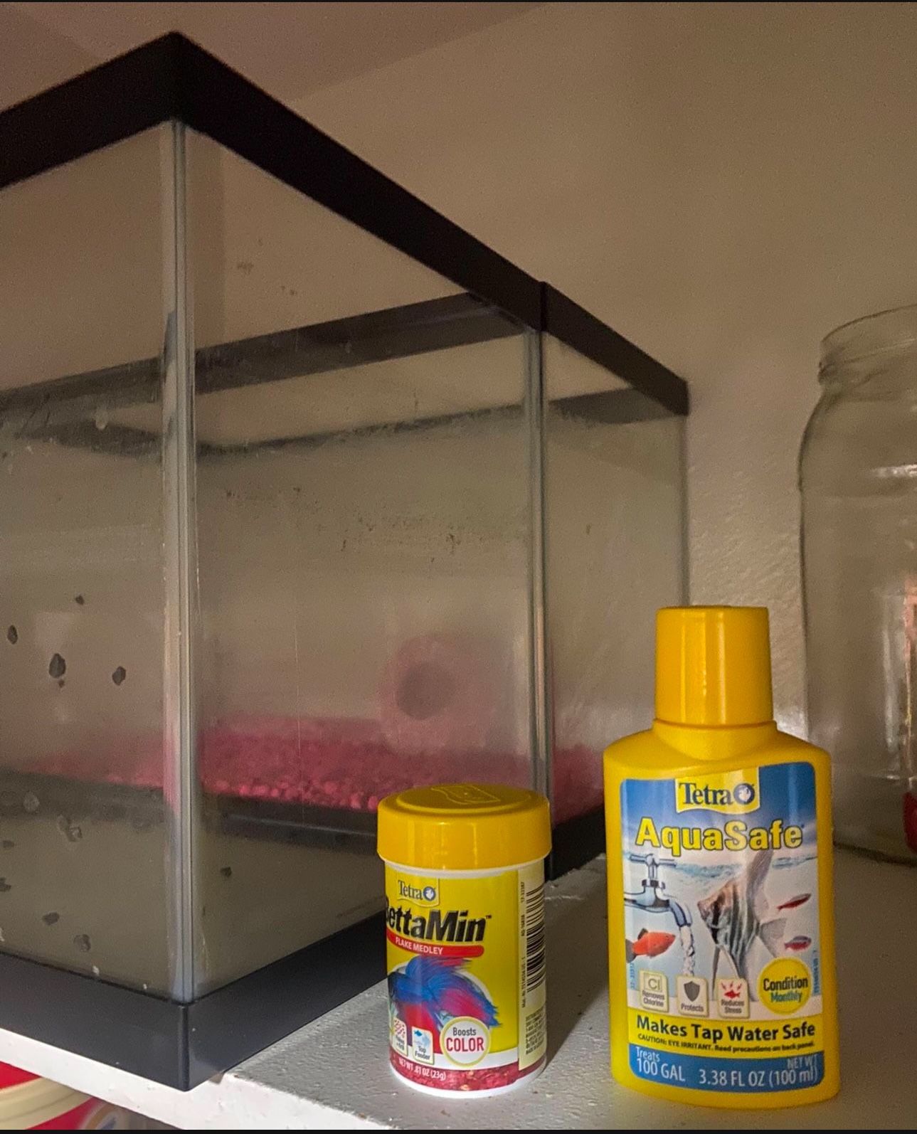 2 Fish Tanks 5 Gallons Each