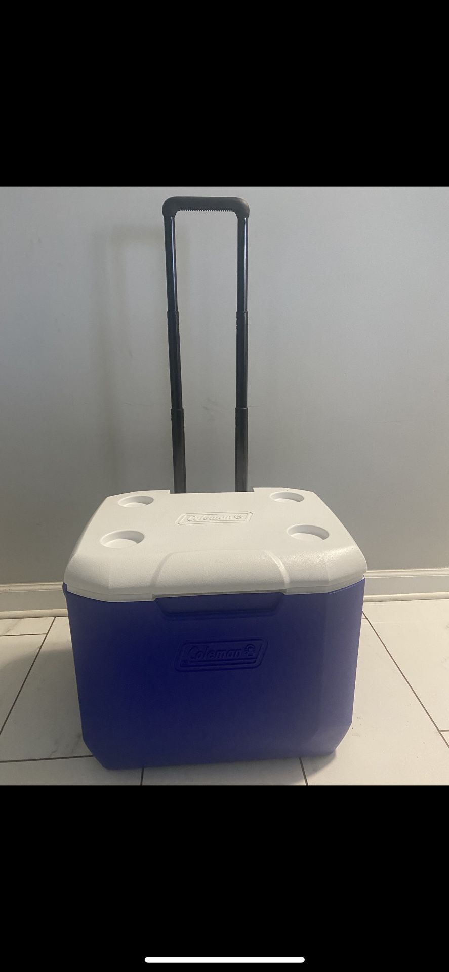 Coleman Cooler