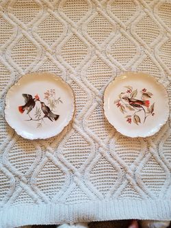 Decorative bird plates