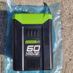 GREENWORKS PR 60V 2.0 AH LITHIUM-ION BATTERY