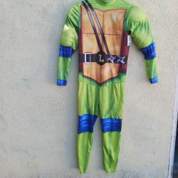 Ninja turtle costume