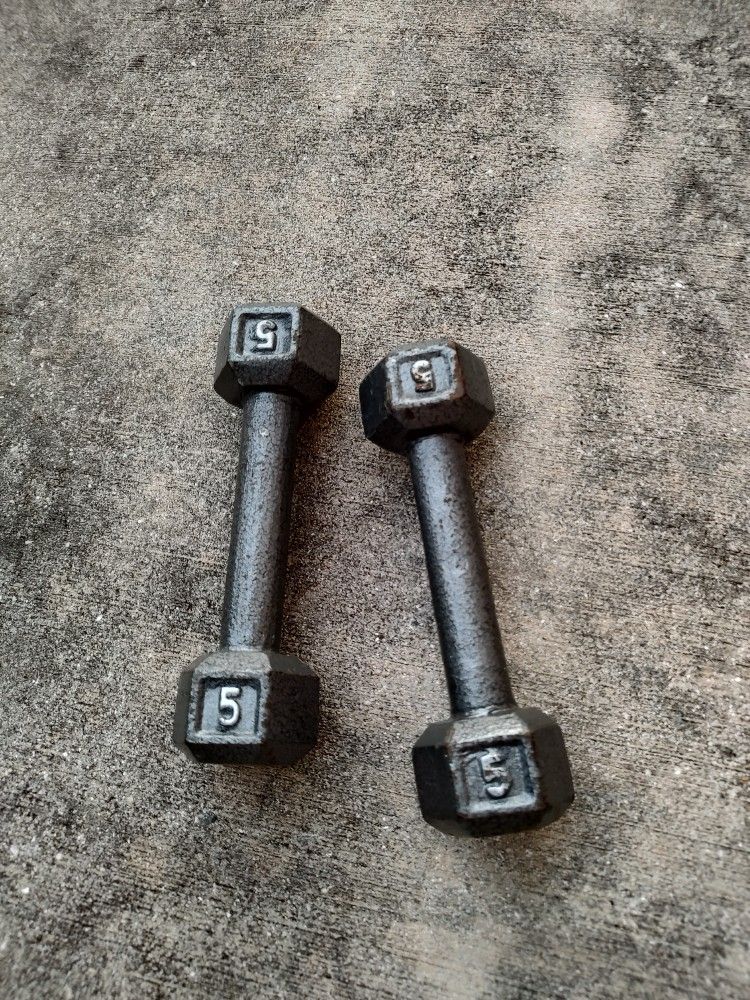 5 lb Cast Iron Weights