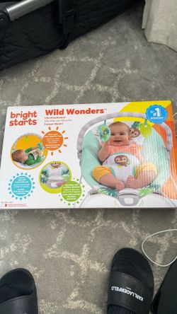 Baby bouncer
