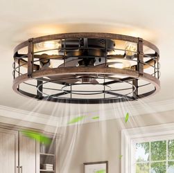 LEDIARY 20" Caged Low Profile Ceiling Fan with Light and Remote Black Gold