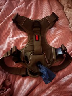 Kong Dog Harness