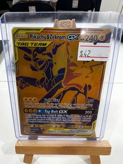 Pikachu & Zekrom