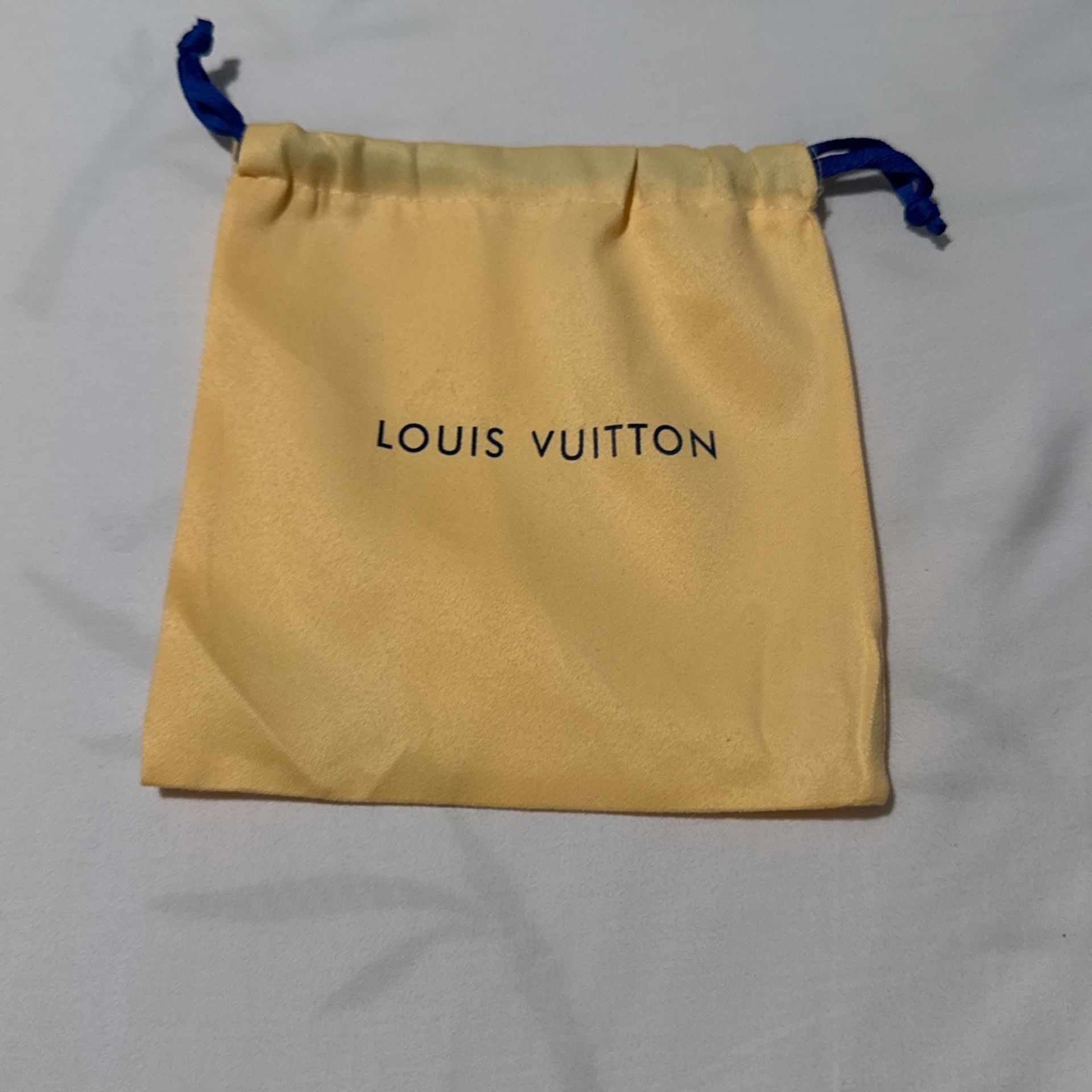 Louis Vuitton Bag (Brand New)