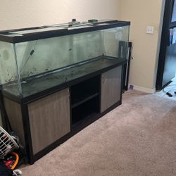 125 Gallon Tank Lights and Stand! 
