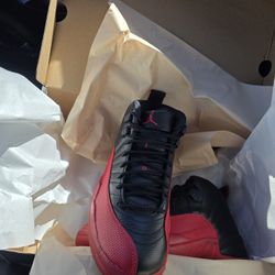Jordan 12 ( Size 8 ) DS (PRICE FIRM)