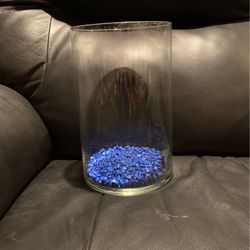 Betta Tank Aquarium