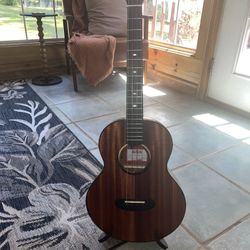 Baritone ukulele 