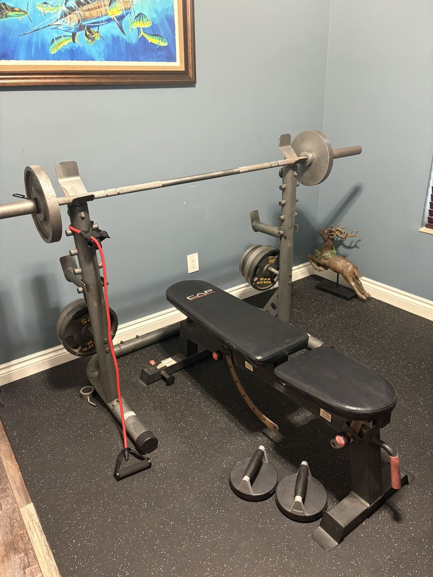 Full Gym Setup