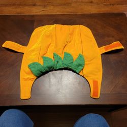 Orange and Green Dog Costume