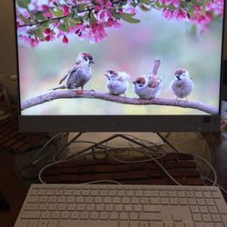 HP Desktop 24 Inch