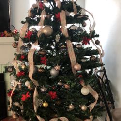 Christmas Tree For Sale