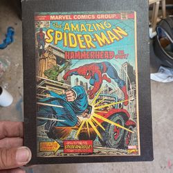 8 1/2 By 6 1/2 Spiderman Canvas's 