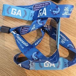 MINNESOTA YACHT CLUB 3 DAY AND SINGLE DAY WRISTBANDS 