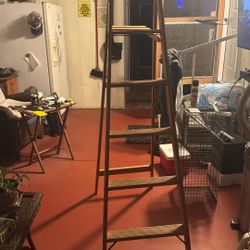 6 Foot Ladder