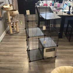 Cat Enclosure 