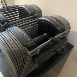 Powerblock Adjustable Dumbbells (100lbs…