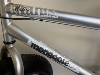 Adult bike