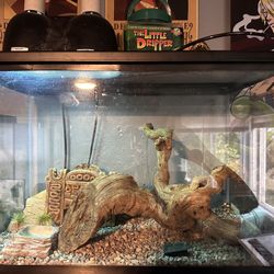 20 Gallon Reptile Or Fish Tank
